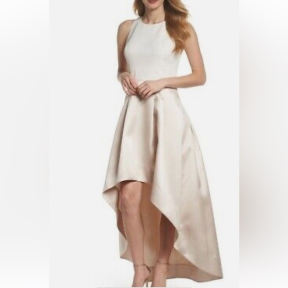 Eliza J High/Low Gown (size 4) - Picture 1 of 16